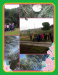 PicsArt_11-13-01.50.15