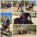 PhotoGrid_1510582828734