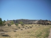 DSCN8030