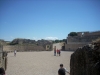 DSCN8037