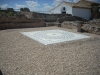 DSCN8074