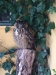 IMG-20170327-WA0004
