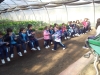 granjacuentos6