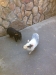img-20131125-wa0012