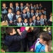 WEB 11
