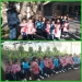 WEB 3