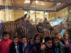 img-20130226-wa0005