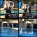 Animales_2