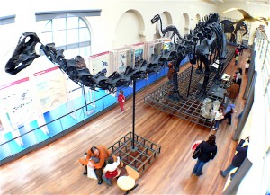 Museo de Ciencias Naturales
